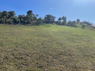 Commercial Property for Sale in Robberg Bay Estate Western Cape